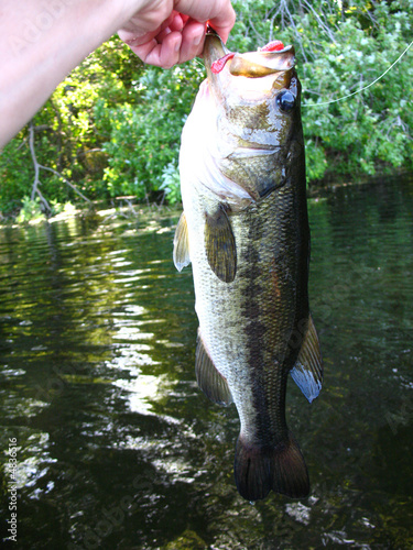 Largemouth bass fishing