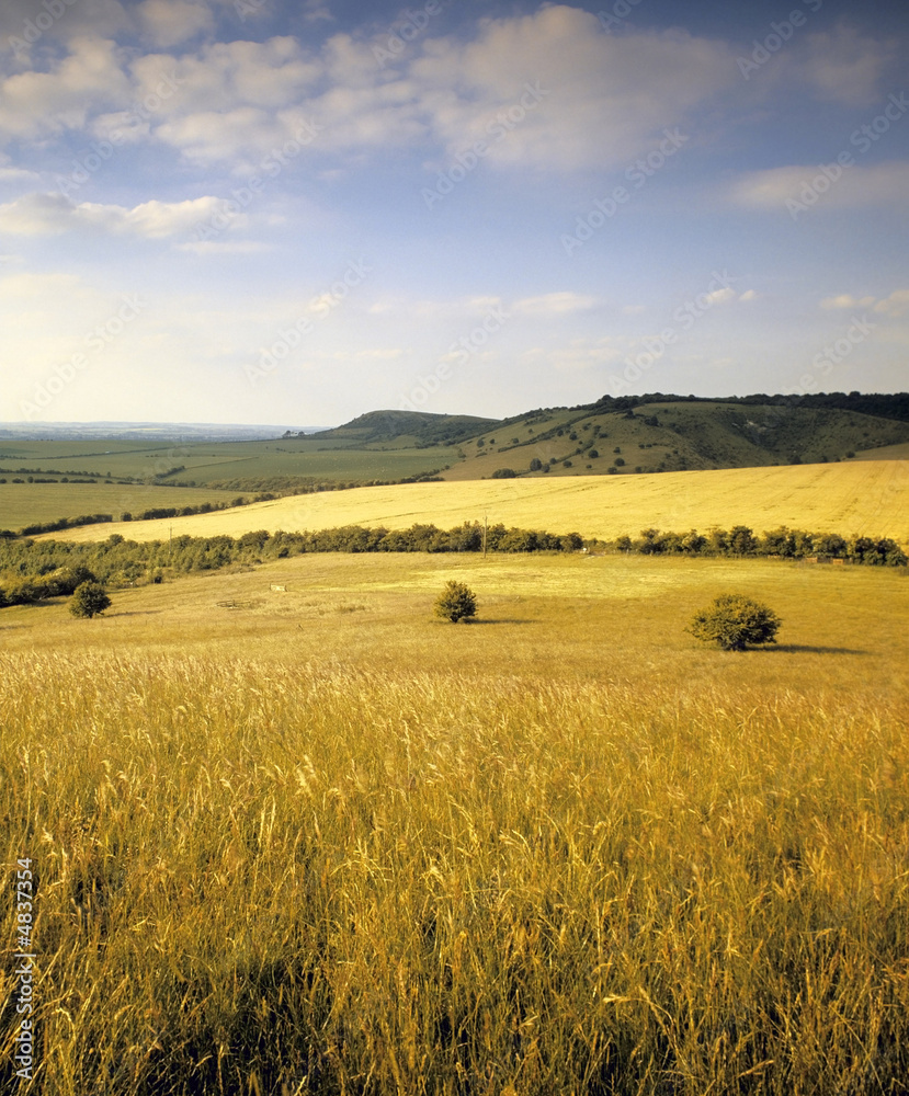 farmland