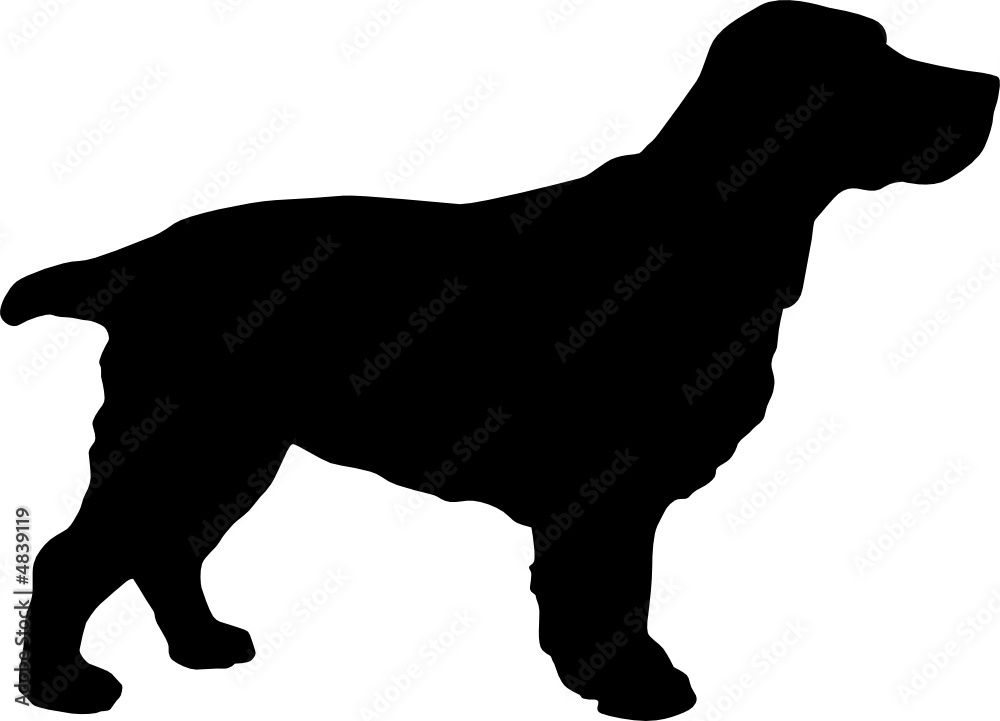 Animali silhouette - cani - Cocker