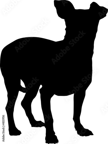 Animali silhouette - cani - Chihuahua