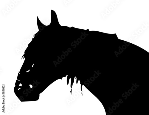 Cavallo