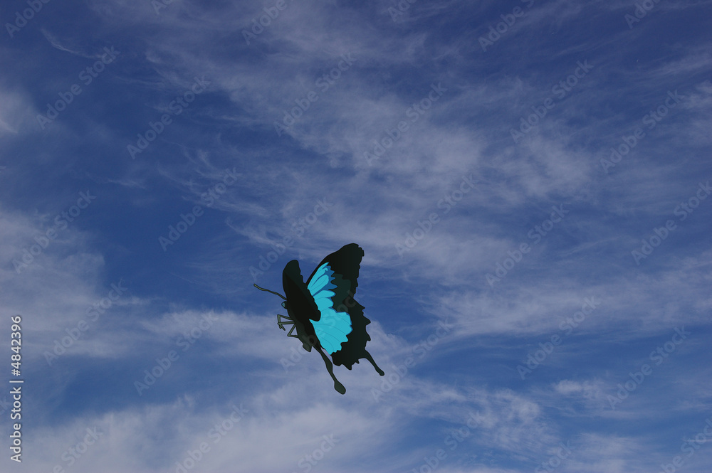 papillon et ciel bleu