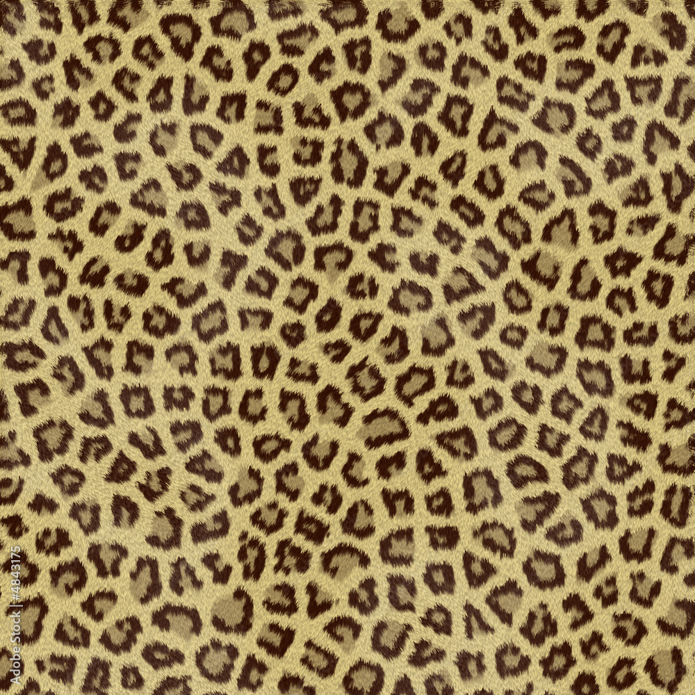Obraz premium Jaguar Fur