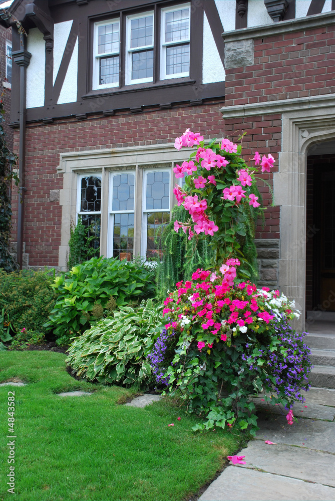 House front with flowering vines