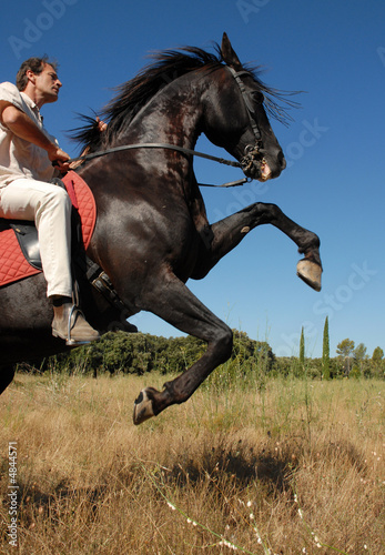 Slika na platnu equitation