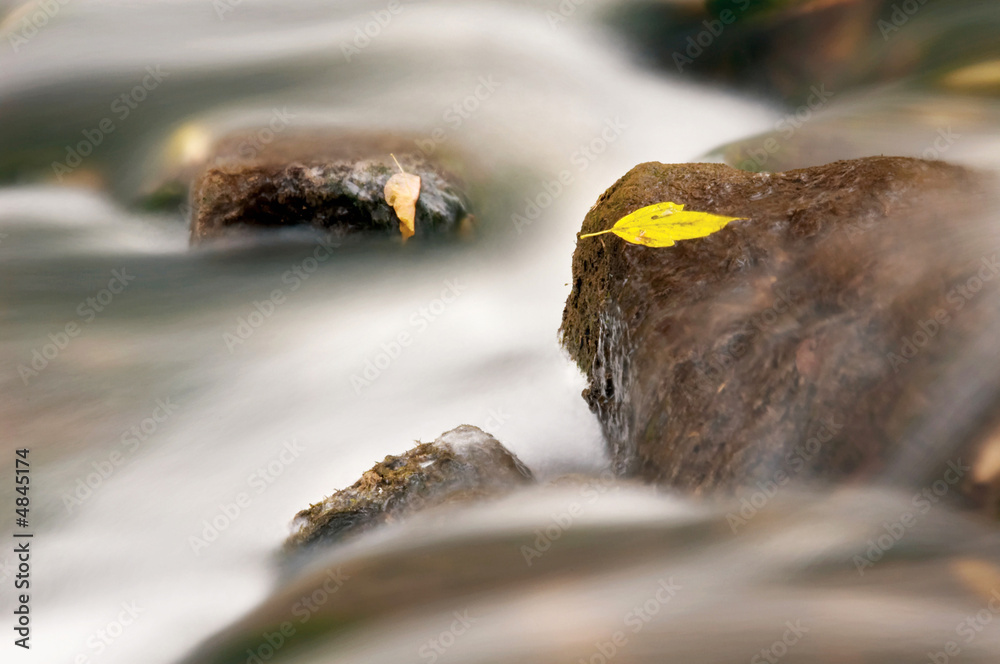 Fototapeta premium Amongst a river