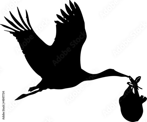 Cigogne