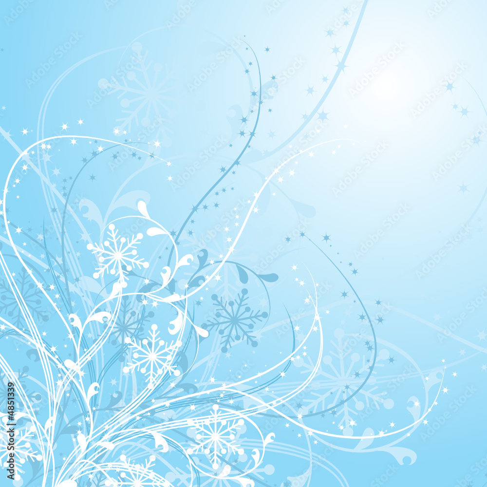 Winter floral background, vector illustration Winter floral background, vector illustration