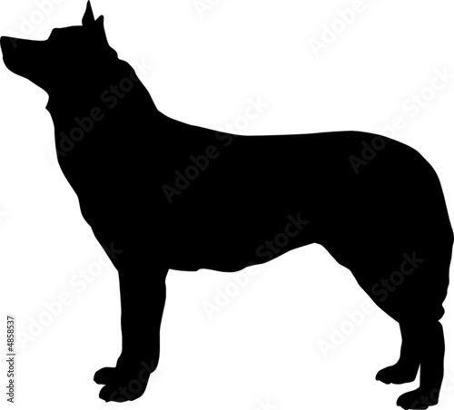 Animali silhouette - cani - Pastore Tedesco