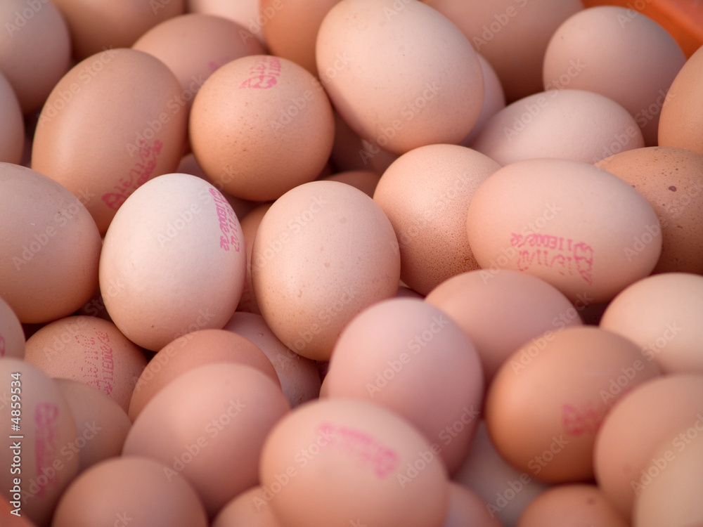 eggs
