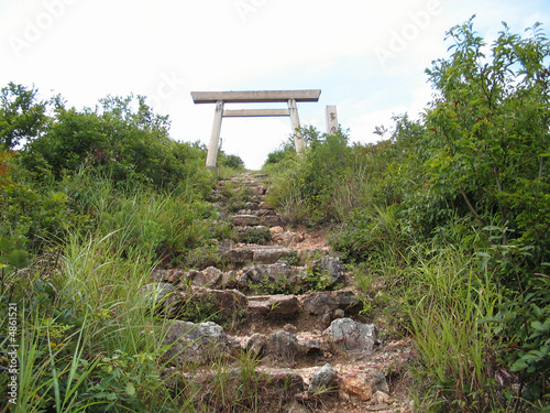 Gate In The Wild