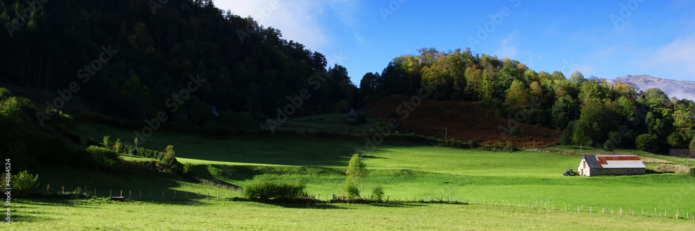 Fototapeta premium prairie verte