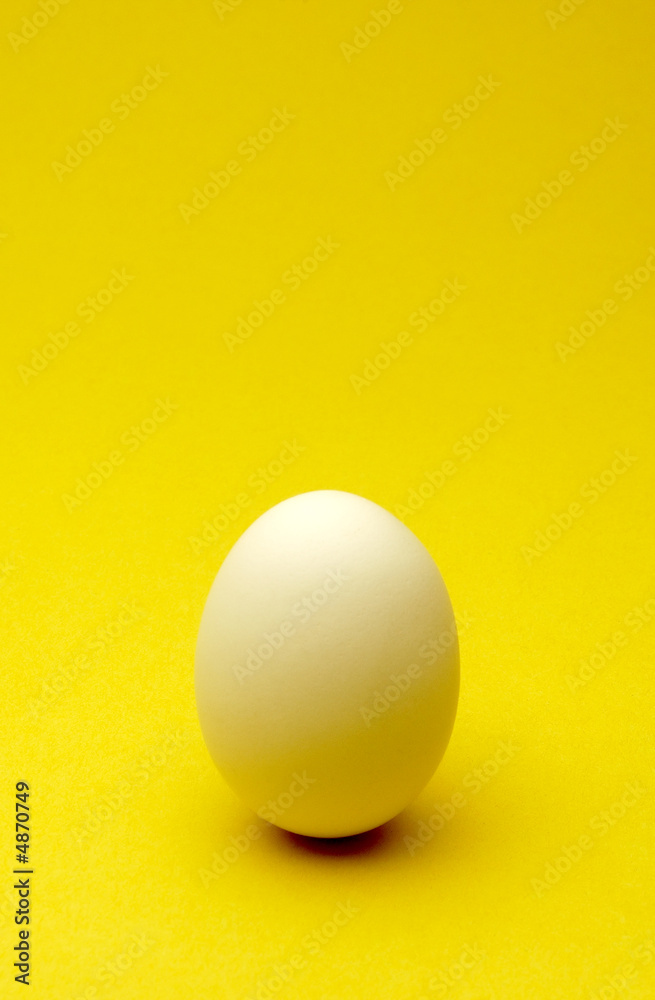 Egg on Yellow