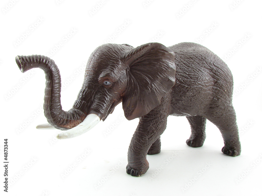 Obraz premium African elephant