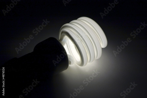 An energy efficient compact fluorescent light bulb