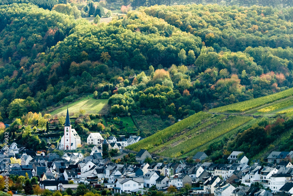 small village along the mosel