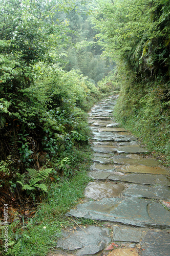 ancient staircase leads to a rice field in China