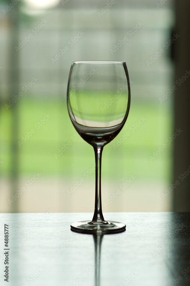 Obraz premium Empty Wine Glass