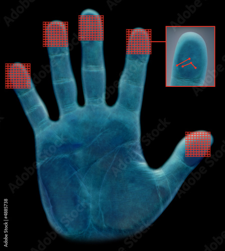 Biometric fingerprint scanner