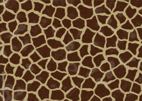 Fur of a giraffe