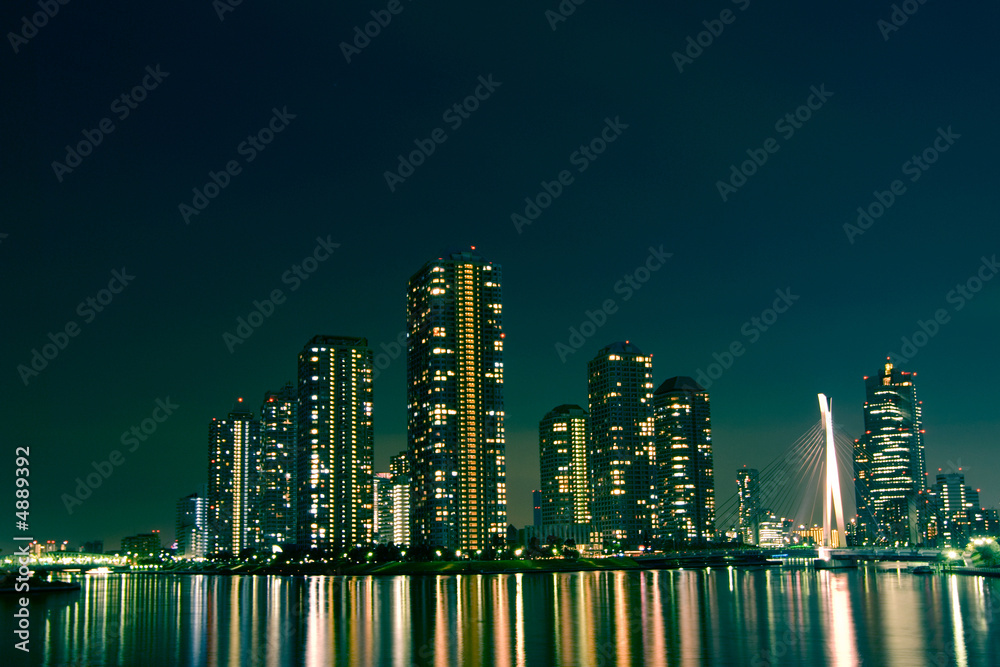 Obraz premium night city