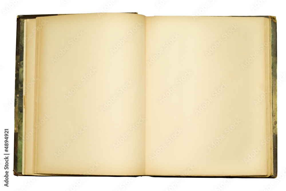 Two blank Pages in an empty old Book Two blank Pages in an empty old Book