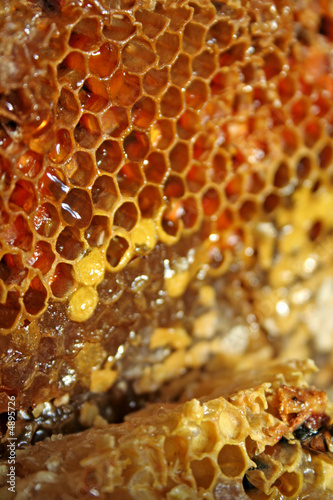 gold honeycells