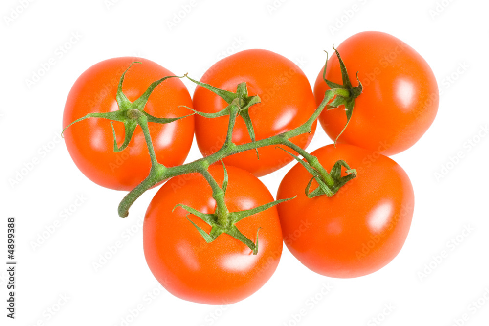 Bunch of fresh tomatoes