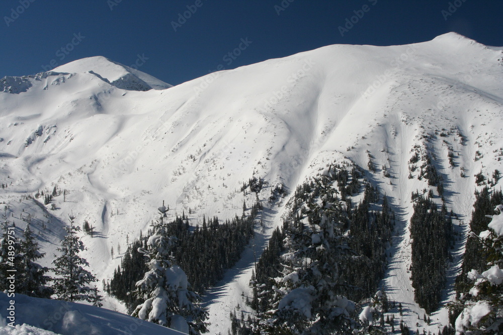 Fototapeta premium Winter in Tatra mountains