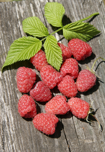 raspberries with leaves