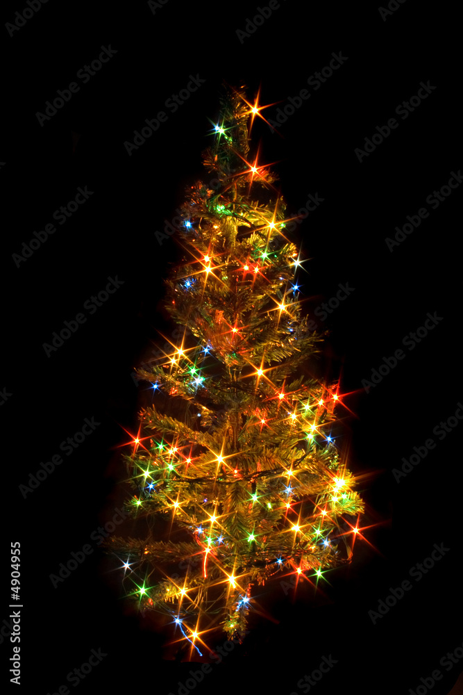 xmas tree xmas tree