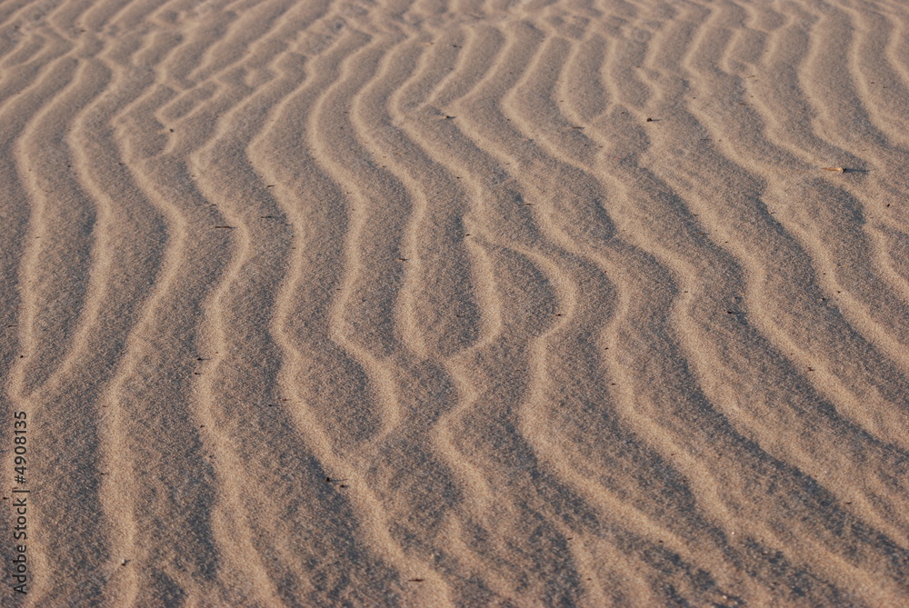 Obraz premium sable purete