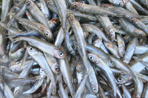 Boquerones served in Spain as tapas together with olives