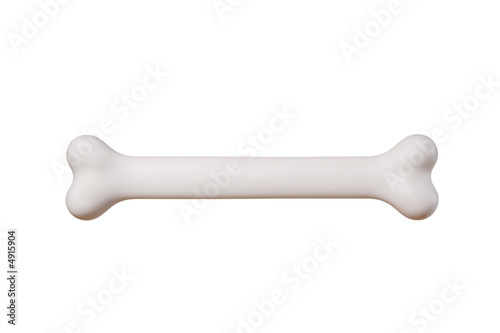 A bone isolated against white background