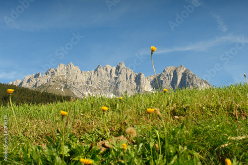 Wilder Kaiser