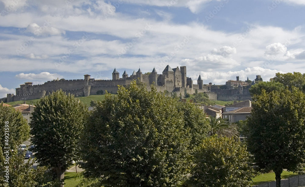 Carcassonne IX