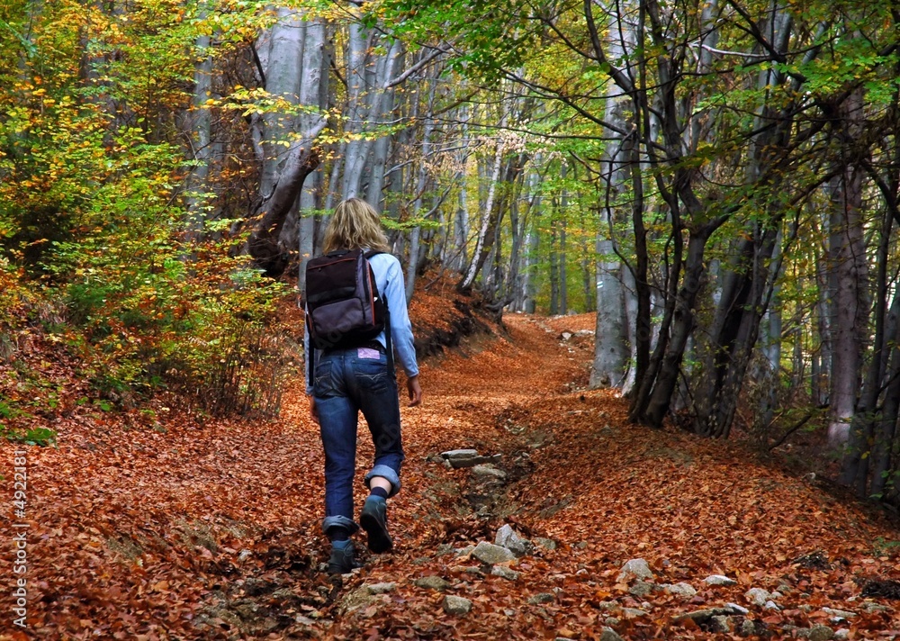 woman tourist walking in the autumn forest woman tourist walking in the autumn forest