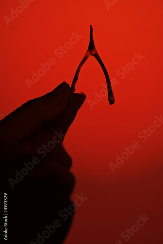 wishbone concept