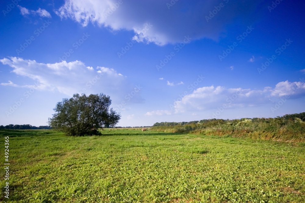 Summer in the rural