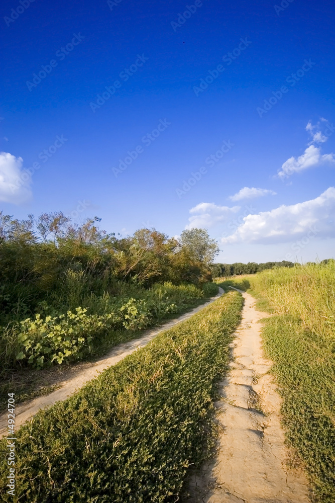 Obraz premium Landscape