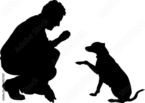 Training the dog for obedience