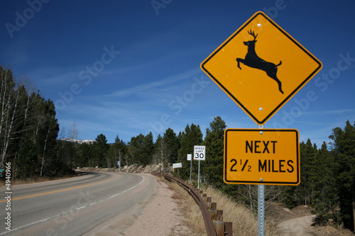 deer warning sign in country road