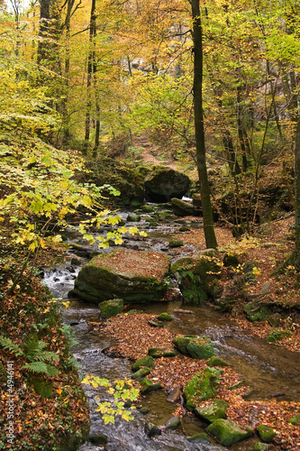Fototapeta Naklejka Na Ścianę i Meble -  forest stream