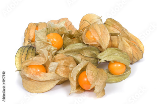 Ground-cherry  (Physalis)
