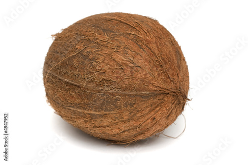Coconut  (Cocos nucifera)