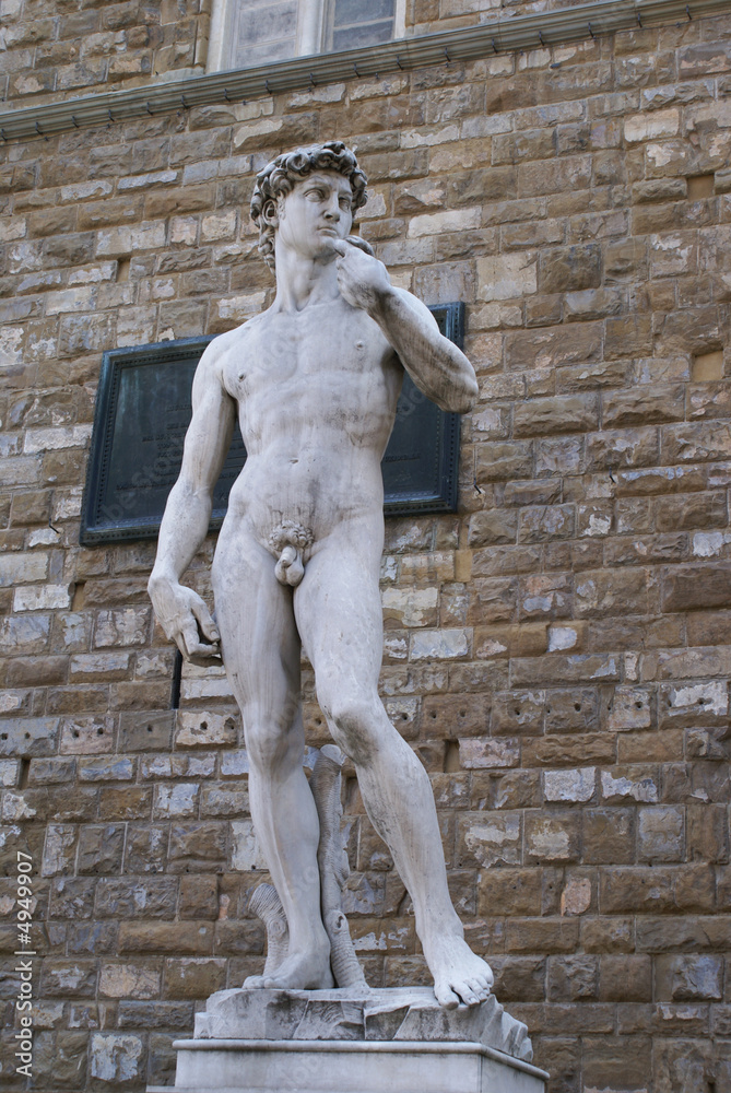 Naklejka premium Statue of David