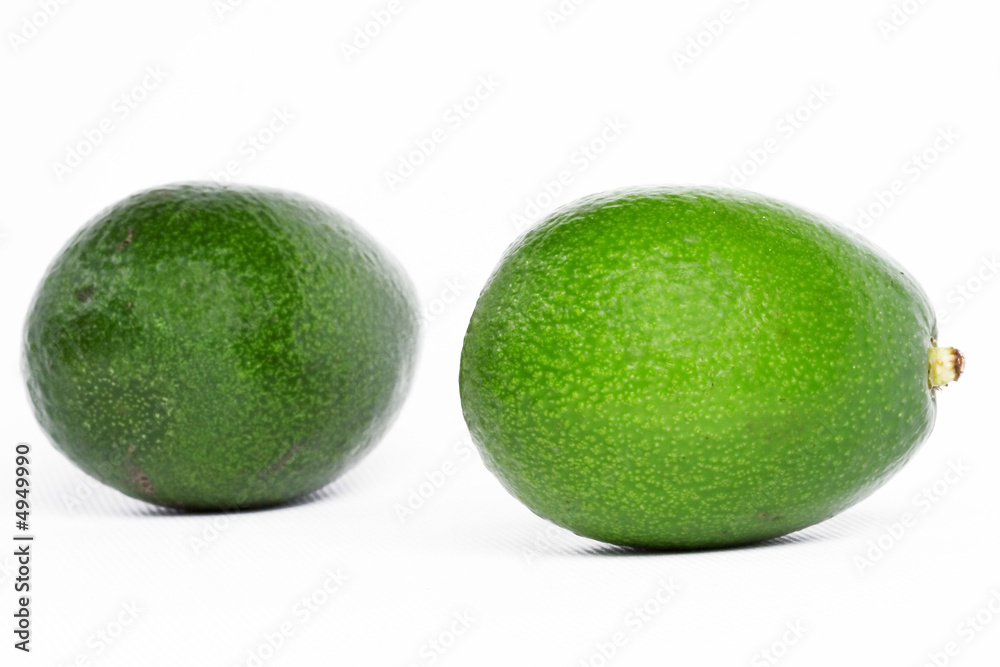 Avocado fruits on white Avocado fruits on white