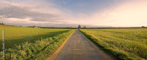 country lane