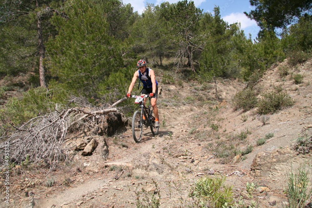 Obraz premium VTT nature