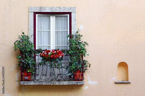 Flowery Balcony © Carlos Caetano